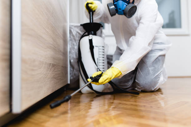 Best Residential Pest Control  in Leland Grove, IL