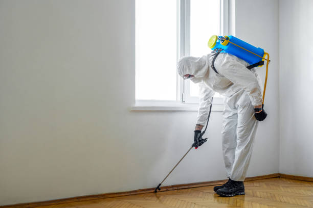 Best Local Pest Control Services  in Leland Grove, IL