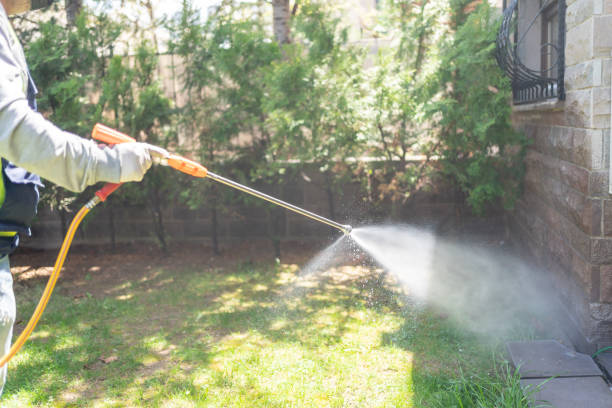 Best Pest Control Treatment  in Leland Grove, IL